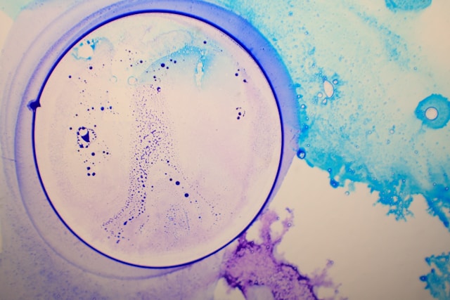 Closeup shot of cell culture